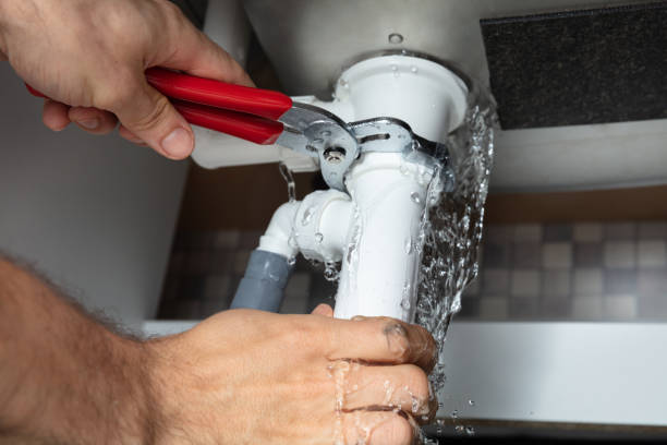 Best Water damage cleanup near me  in Harlem Heights, FL