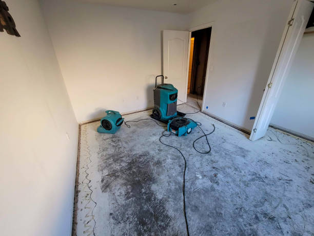 Best Water damage restoration near me  in Harlem Heights, FL