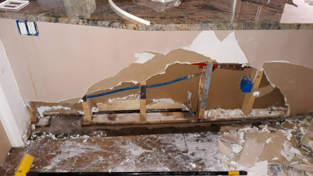Best Residential water damage restoration  in Harlem Heights, FL