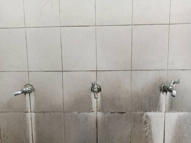 Best Emergency water extraction  in Harlem Heights, FL