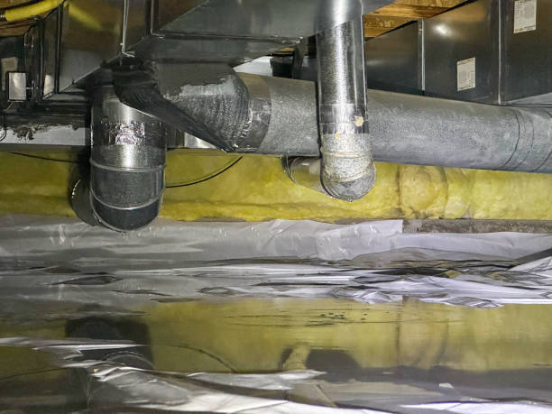 Best Local water damage restoration  in Harlem Heights, FL
