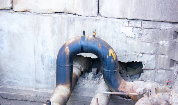 Best Water damage contractors near me  in Harlem Heights, FL