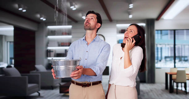 Best Carpet water damage restoration  in Harlem Heights, FL