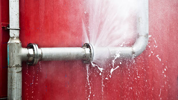 Best 24-hour water damage restoration  in Harlem Heights, FL